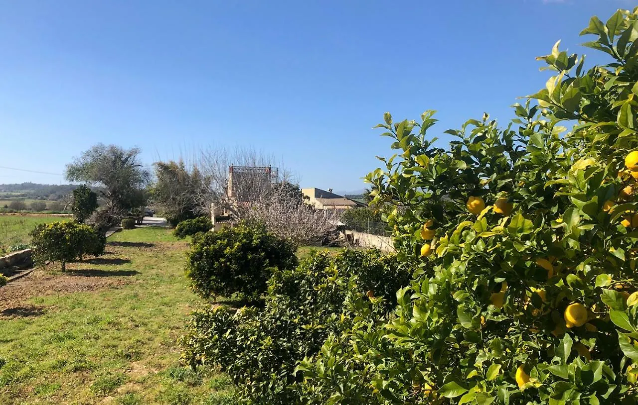 Villa Son Roig ,Beautiful Place In The Heart Of Mallorca -Etv 9979 Maria De La Salut